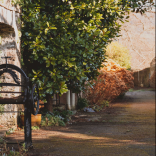 split image of a garden in rural wales on the left and a portrait of a man inside a farmhouse